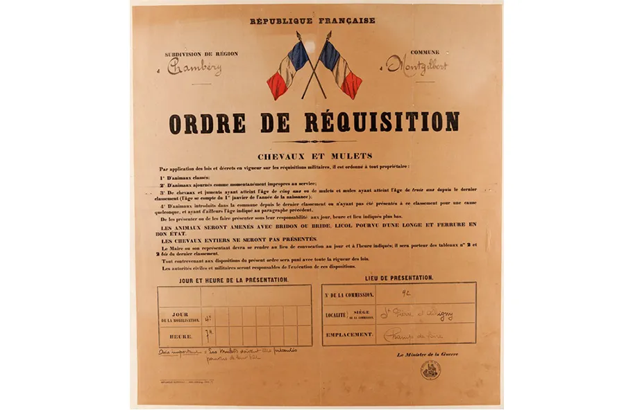 Ordre de réquisition des chevaux et mulets - Musée de la Grande Guerre, Meaux