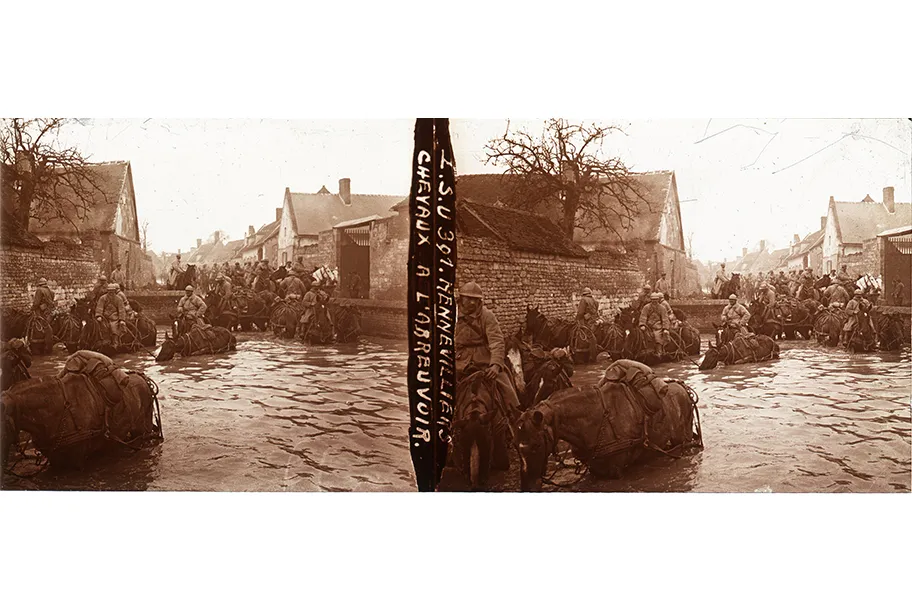 Mennevillers, chevaux à l’abreuvoir - LSU Don Pardon-Bentz - Musée de la Grande Guerre, Meaux
