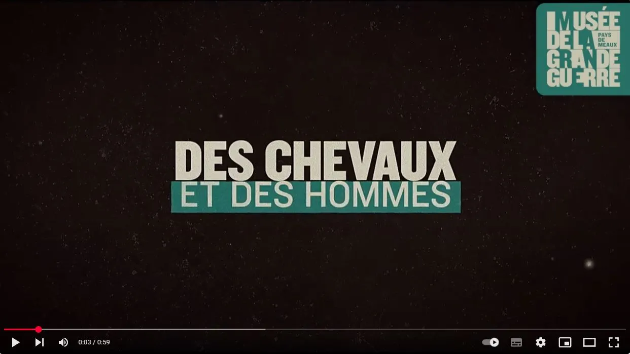 Des chevaux et des hommes